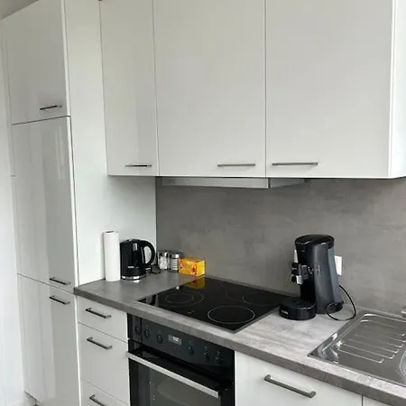 Elegante Und Moderne Apartment Mannheim